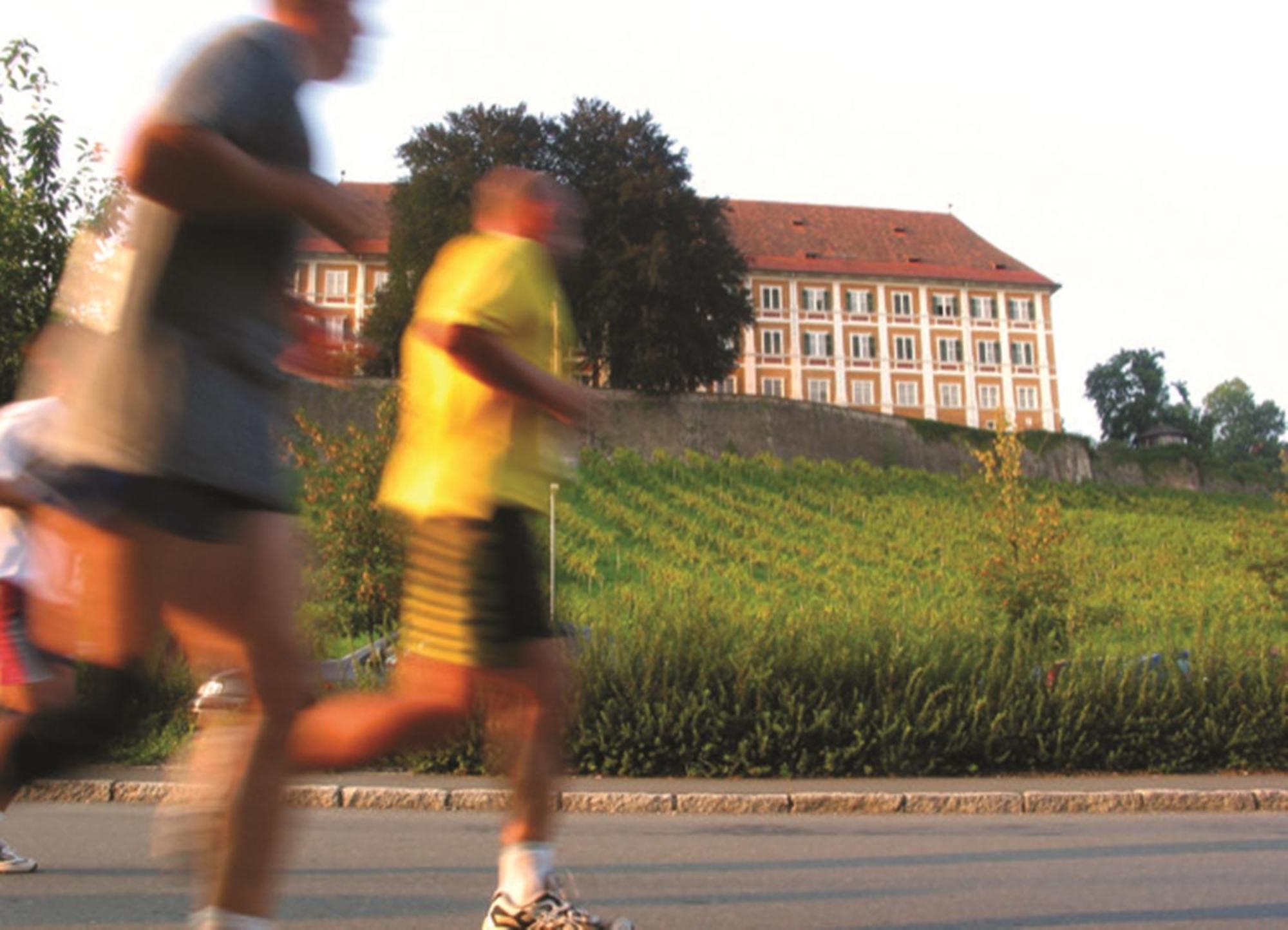 Hotel Stainzerhof Kültér fotó