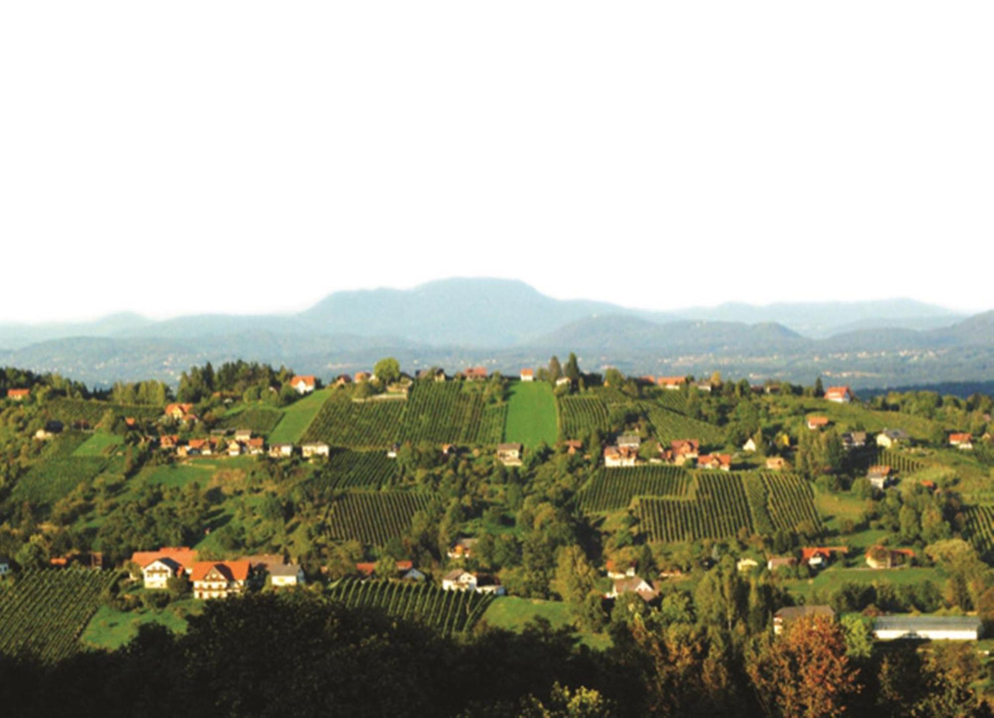 Hotel Stainzerhof Kültér fotó