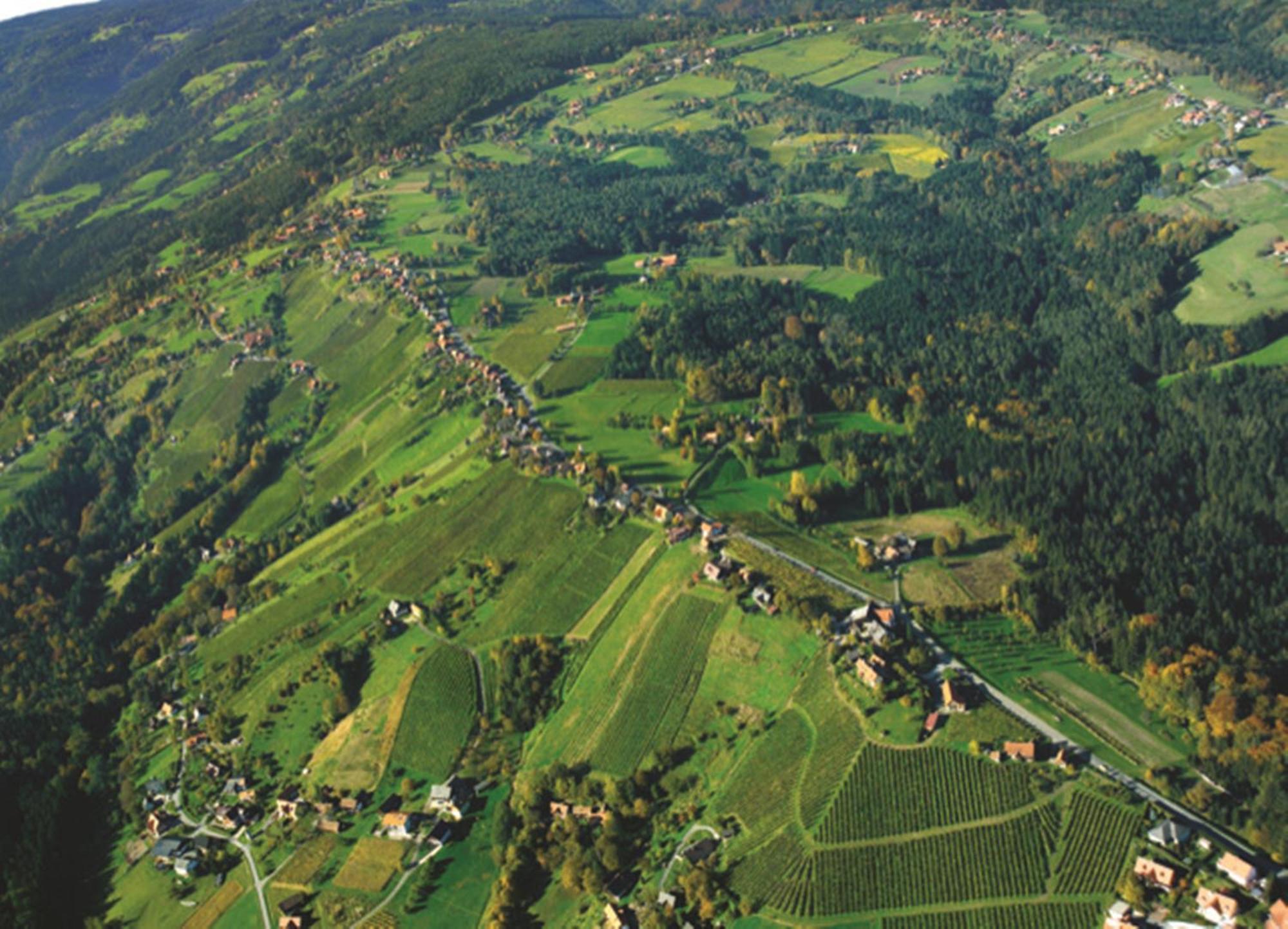 Hotel Stainzerhof Kültér fotó